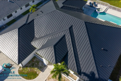 whale-22-jpg