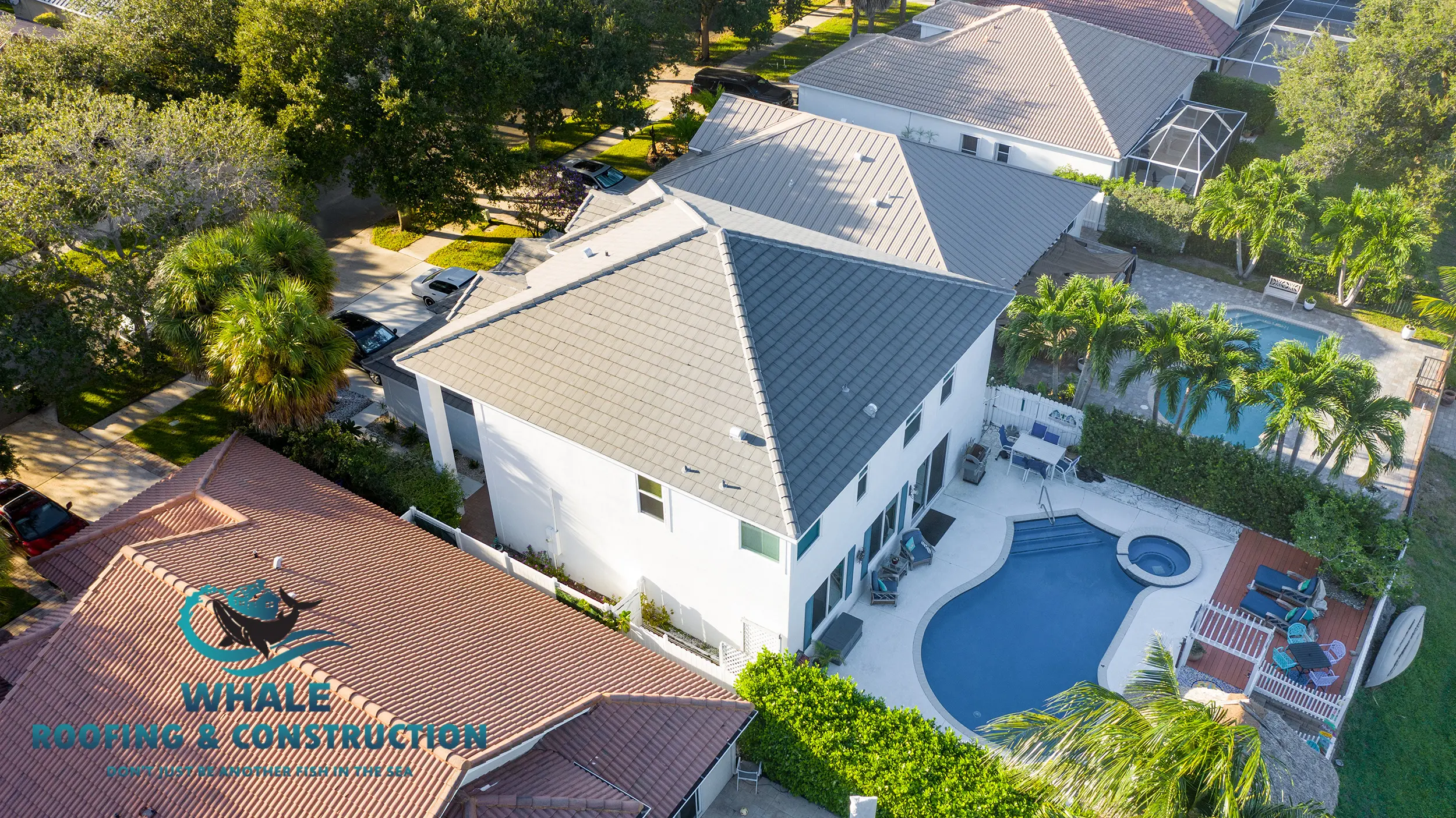 Lighthouse Point Roofing Services 3 Aerial view of a house with a gray tile roof, backyard pool, and patio, surrounded by neighboring homes and trees. Whale Roofing & Construction logo in the bottom left corner.