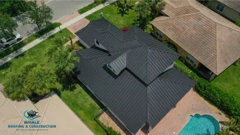 Aerial view of a house with a dark metal roof, surrounded by green lawn, trees, driveway, and a backyard pool. Whale Roofing & Construction logo is visible in the bottom left corner.