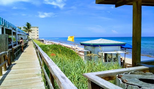 lantana-fl