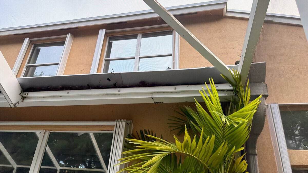 Flat Roof Repair In Delray Beach, FL 8 5cc31288 57f2 4b81 b650 39c10be51e79