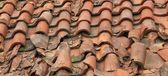 Signs You Need a New Roof